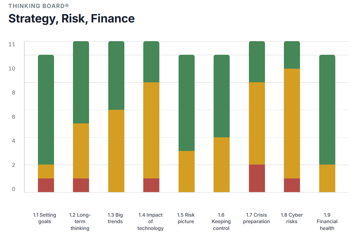 Thinking Board report — Strategy, Risk, Finance chart showing scores across nine areas